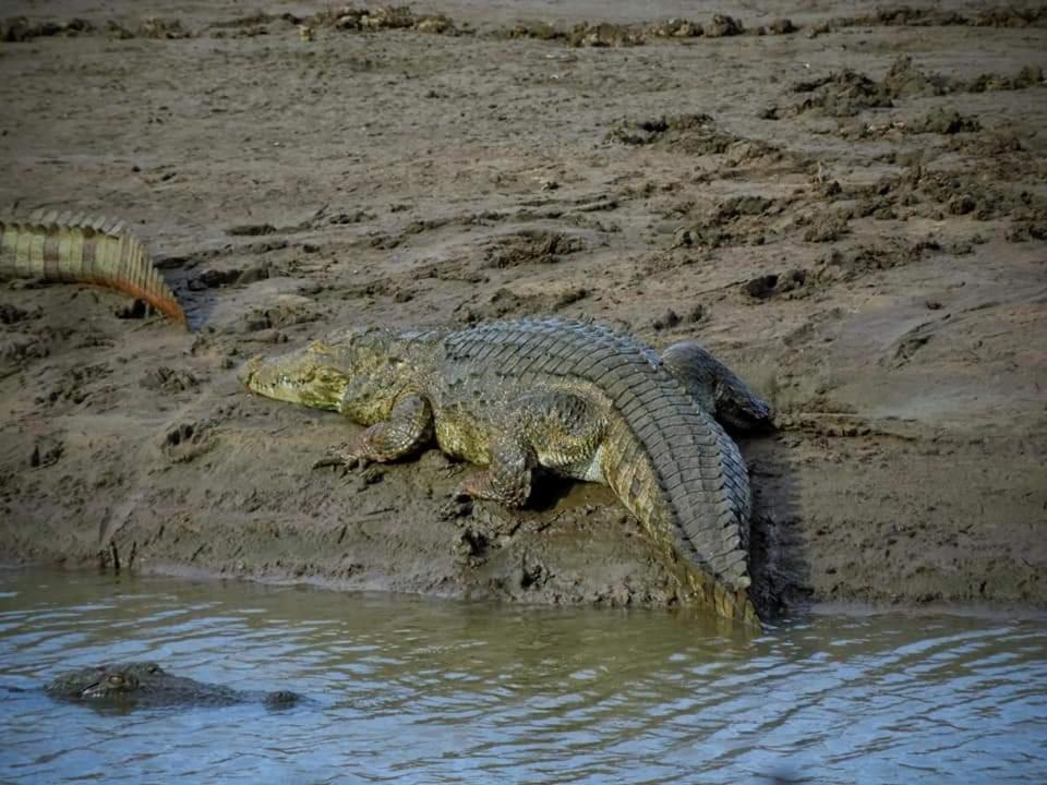 Wild Lake Side Удавалаве Екстериор снимка