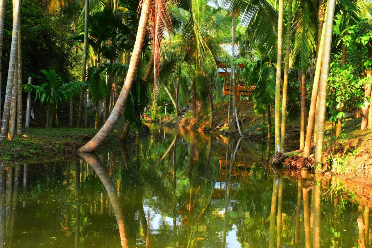 Wild Lake Side Удавалаве Екстериор снимка